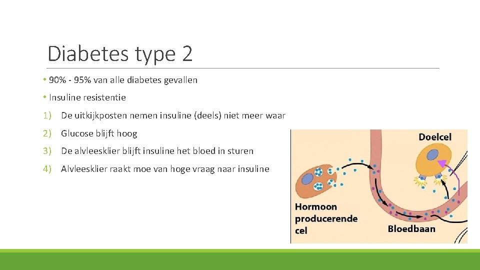 Diabetes type 2 • 90% - 95% van alle diabetes gevallen • Insuline resistentie