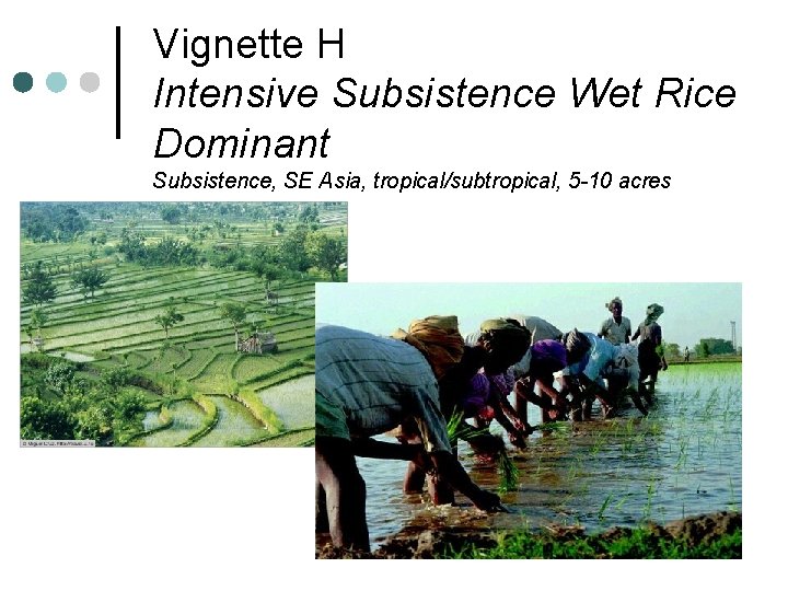 Vignette H Intensive Subsistence Wet Rice Dominant Subsistence, SE Asia, tropical/subtropical, 5 -10 acres
