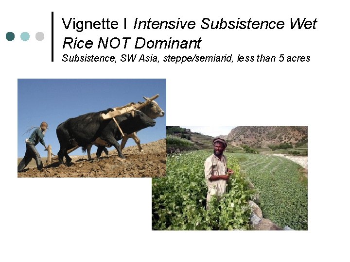 Vignette I Intensive Subsistence Wet Rice NOT Dominant Subsistence, SW Asia, steppe/semiarid, less than