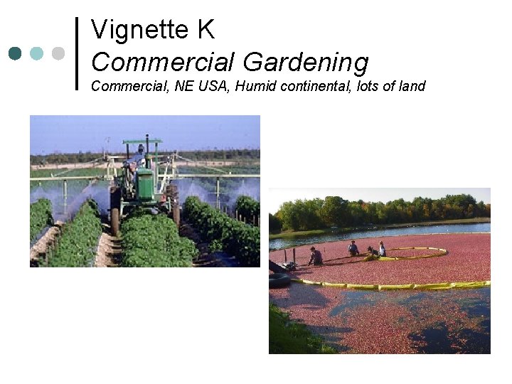 Vignette K Commercial Gardening Commercial, NE USA, Humid continental, lots of land 