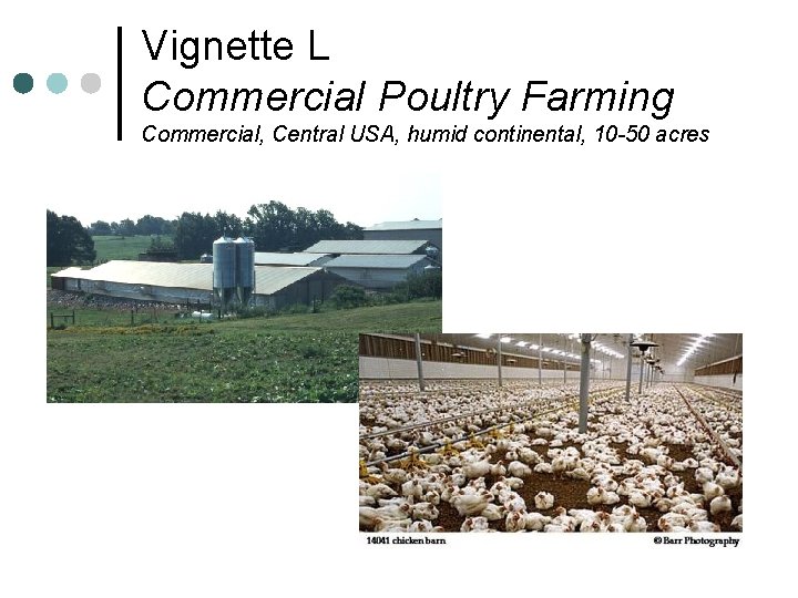 Vignette L Commercial Poultry Farming Commercial, Central USA, humid continental, 10 -50 acres 