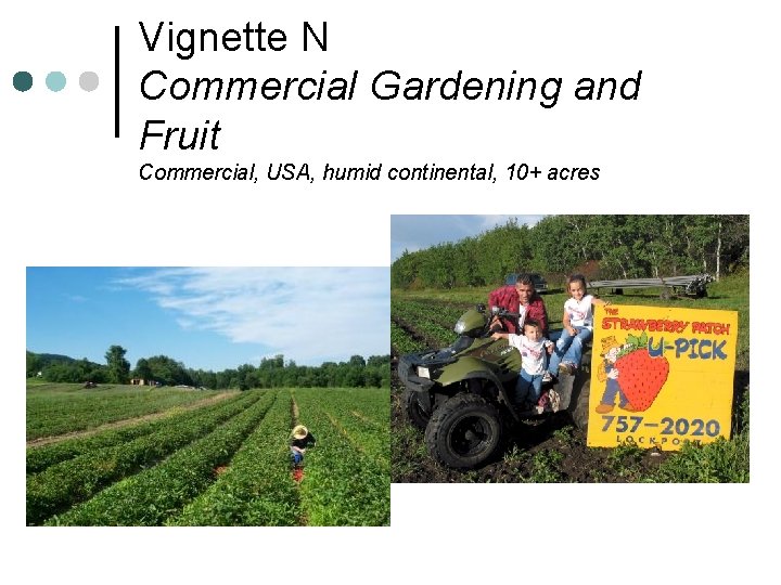 Vignette N Commercial Gardening and Fruit Commercial, USA, humid continental, 10+ acres 