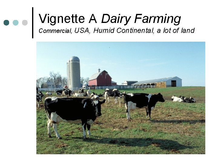 Vignette A Dairy Farming Commercial, USA, Humid Continental, a lot of land 