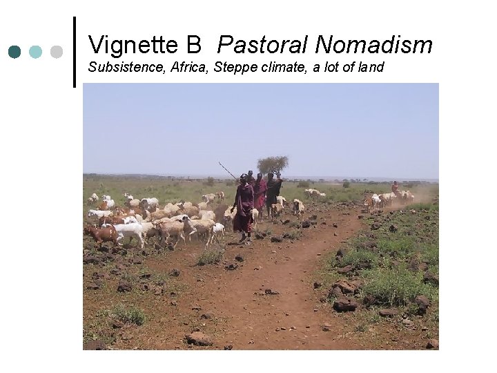 Vignette B Pastoral Nomadism Subsistence, Africa, Steppe climate, a lot of land 