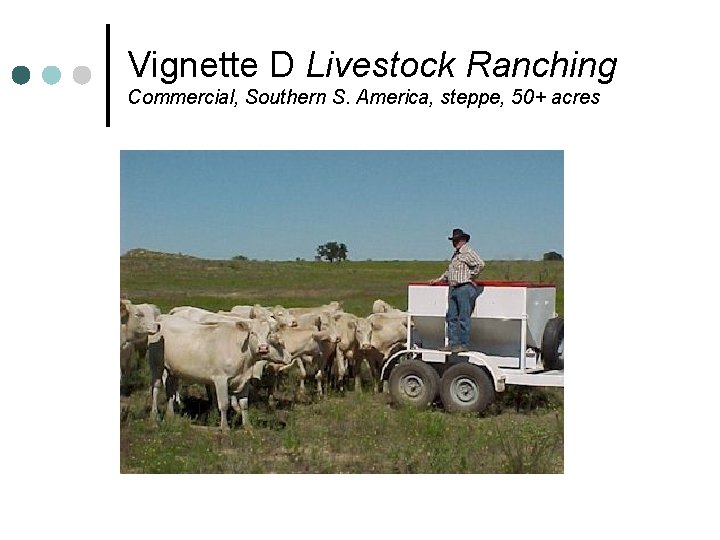 Vignette D Livestock Ranching Commercial, Southern S. America, steppe, 50+ acres 