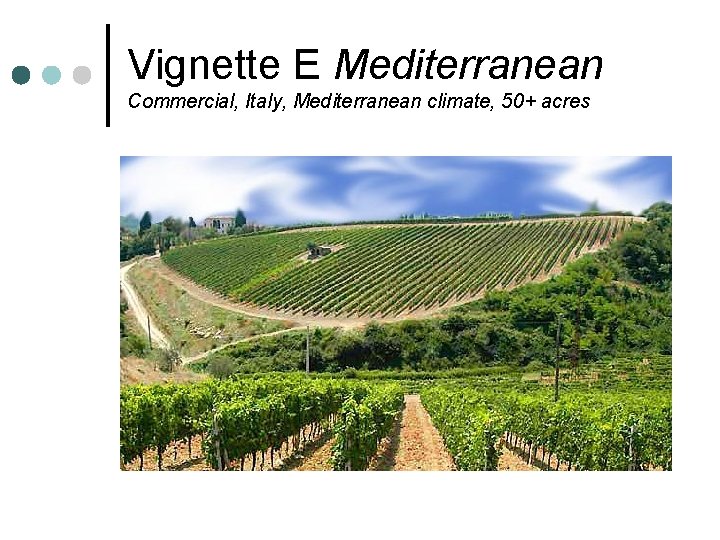 Vignette E Mediterranean Commercial, Italy, Mediterranean climate, 50+ acres 