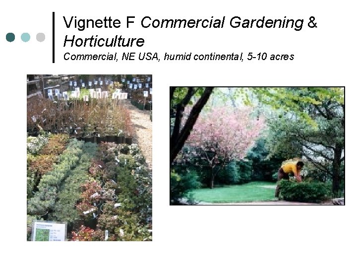 Vignette F Commercial Gardening & Horticulture Commercial, NE USA, humid continental, 5 -10 acres