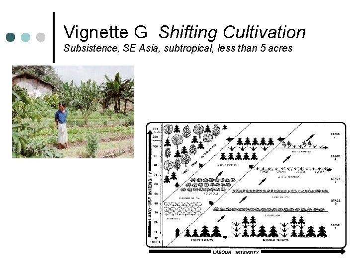 Vignette G Shifting Cultivation Subsistence, SE Asia, subtropical, less than 5 acres 