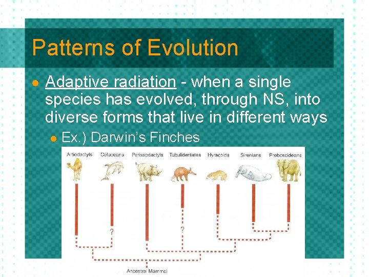 Unit 5 Evolution Ch 17 The History of