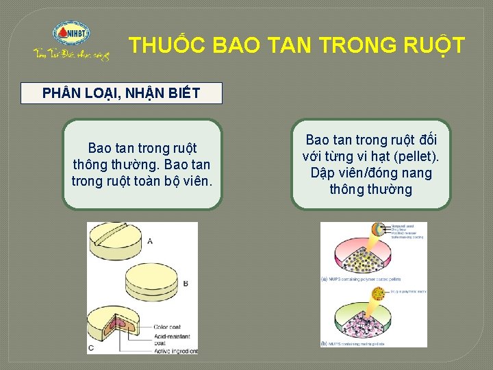 THUỐC BAO TAN TRONG RUỘT PH N LOẠI, NHẬN BIẾT Bao tan trong ruột