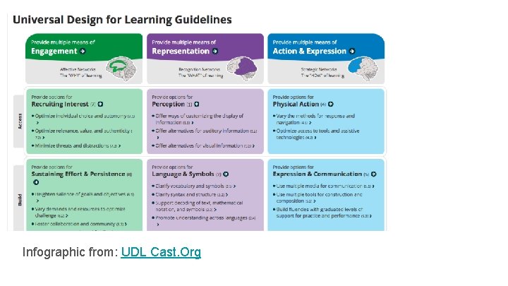 Infographic from: UDL Cast. Org 