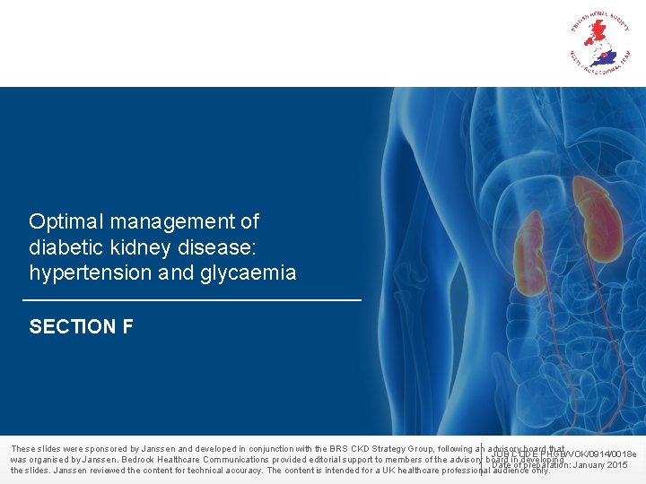 Optimal management of diabetic kidney disease: hypertension and glycaemia SECTION F These slides were