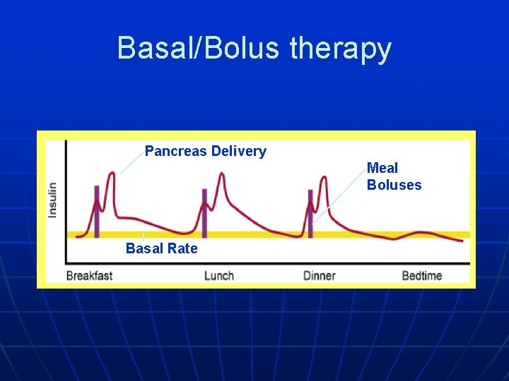 Basal/Bolus therapy Pancreas Delivery Meal Boluses Basal Rate 