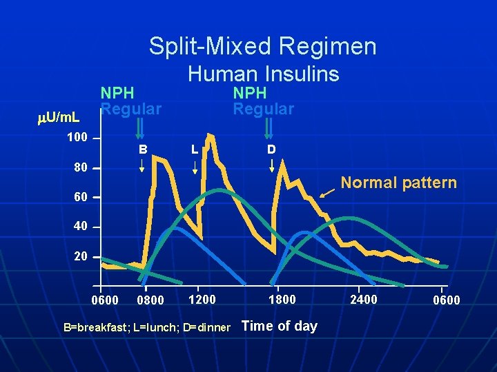 Split-Mixed Regimen U/m. L NPH Regular 100 B Human Insulins NPH Regular L D