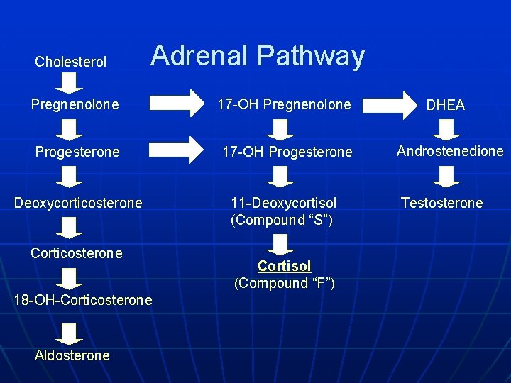 Cholesterol Adrenal Pathway Pregnenolone 17 -OH Pregnenolone Progesterone 17 -OH Progesterone Deoxycorticosterone 11 -Deoxycortisol