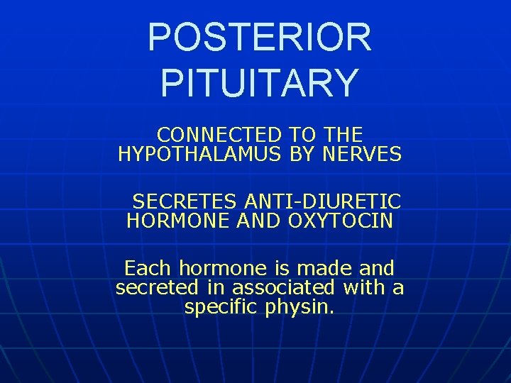 POSTERIOR PITUITARY CONNECTED TO THE HYPOTHALAMUS BY NERVES SECRETES ANTI-DIURETIC HORMONE AND OXYTOCIN Each