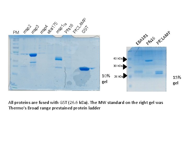 m 5 sp 1 Pf 19 s 1 6 Pf CL A GS MP