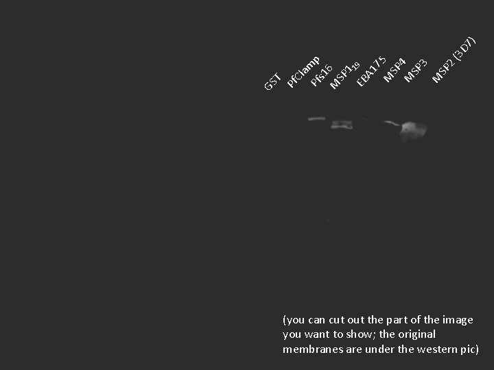 7) 3 D Pf p s 1 M 6 SP 1 EB 19 A