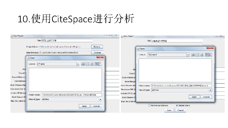 10. 使用Cite. Space进行分析 