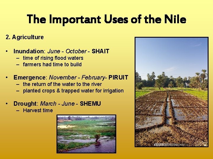 The Important Uses of the Nile 2. Agriculture • Inundation: June - October -