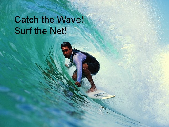 Catch the Wave! Surf the Net! 