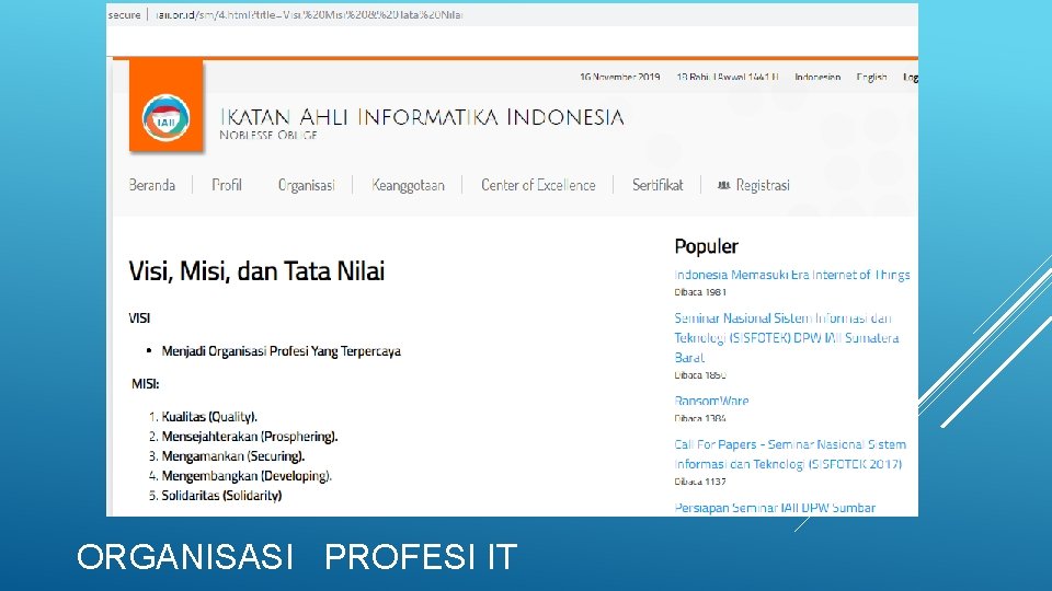 ORGANISASI PROFESI IT 