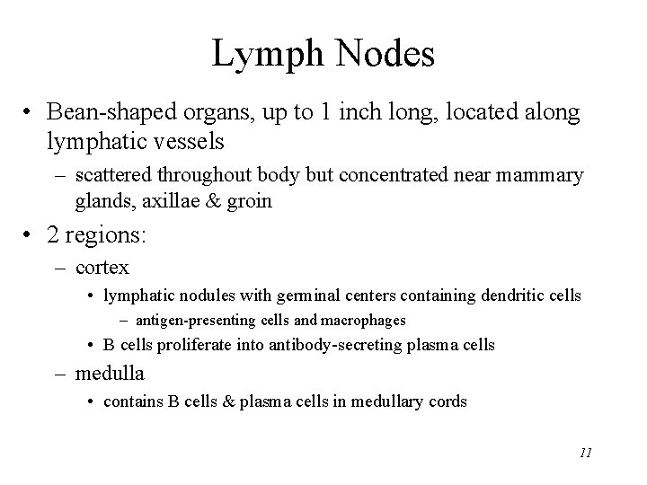 Lymph Nodes • Bean-shaped organs, up to 1 inch long, located along lymphatic vessels