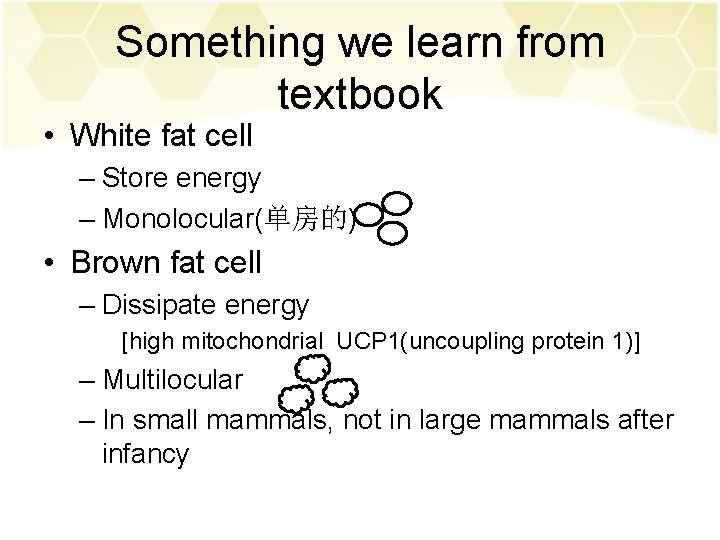 Something we learn from textbook • White fat cell – Store energy – Monolocular(单房的)