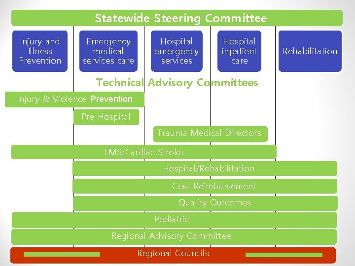 Statewide Steering Committee Injury and Illness Prevention Emergency medical services care Hospital emergency services