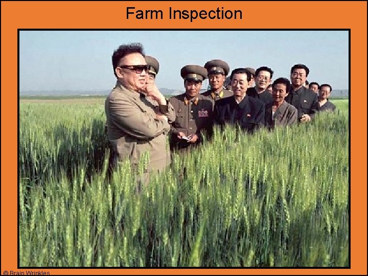 Farm Inspection © Brain Wrinkles 