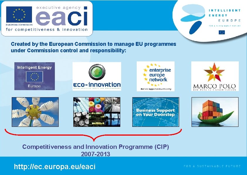 Created by the European Commission to manage EU programmes under Commission control and responsibility: