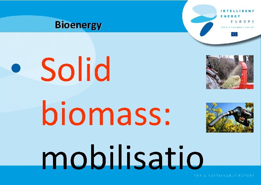 Bioenergy • Solid biomass: mobilisatio 