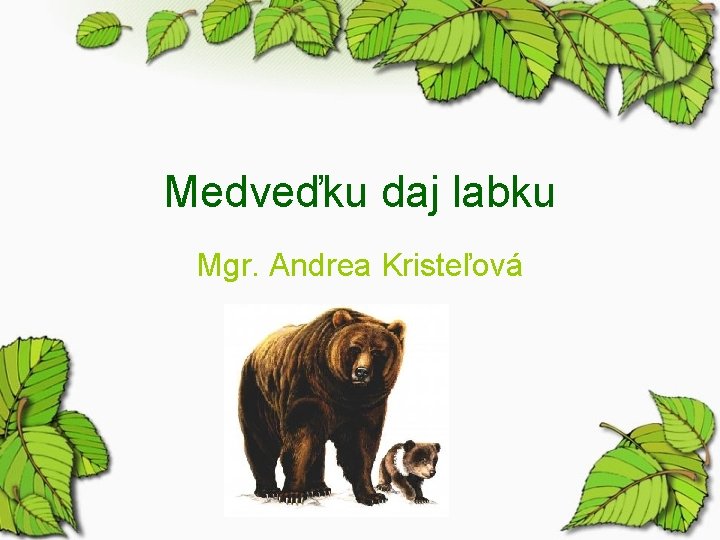 Medveďku daj labku Mgr. Andrea Kristeľová 