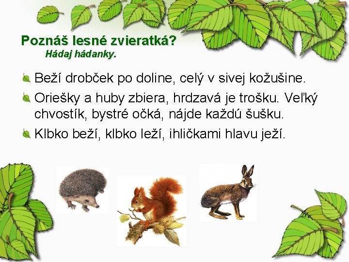 Poznáš lesné zvieratká? Hádaj hádanky. Beží drobček po doline, celý v sivej kožušine. Oriešky