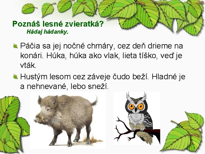 Poznáš lesné zvieratká? Hádaj hádanky. Páčia sa jej nočné chmáry, cez deň drieme na