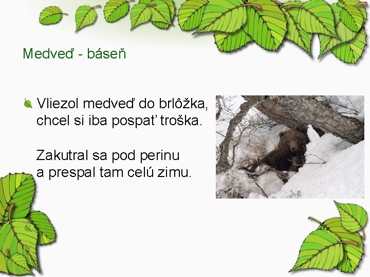 Medveď - báseň Vliezol medveď do brlôžka, chcel si iba pospať troška. Zakutral sa