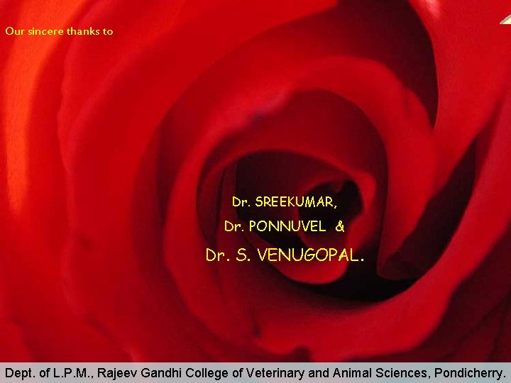 Our sincere thanks to Dr. SREEKUMAR, Dr. PONNUVEL & Dr. S. VENUGOPAL. Dept. of