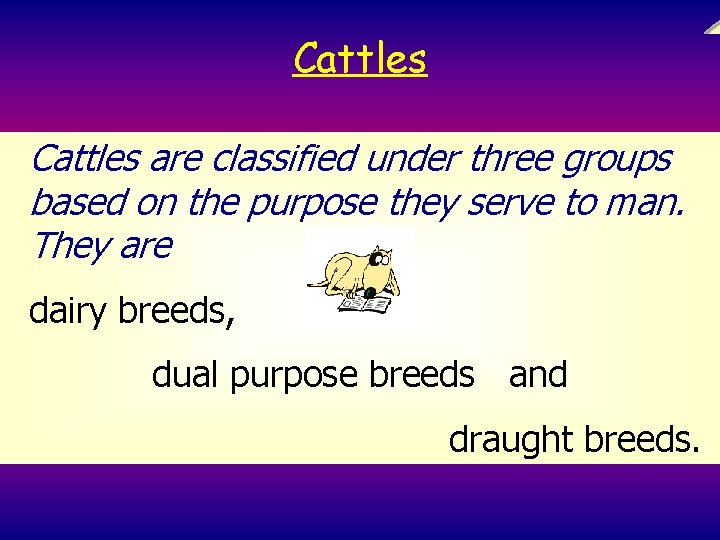 Cattles are classified under three groups based on the purpose they serve to man.