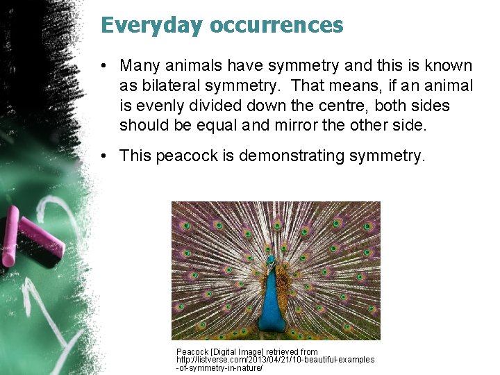 Everyday occurrences • Many animals have symmetry and this is known as bilateral symmetry.