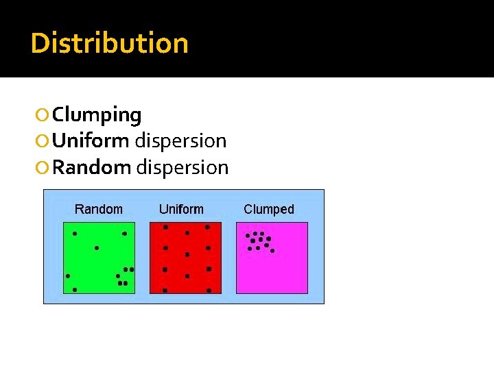 Population Dynamics Ch 8 Big Picture Populations can