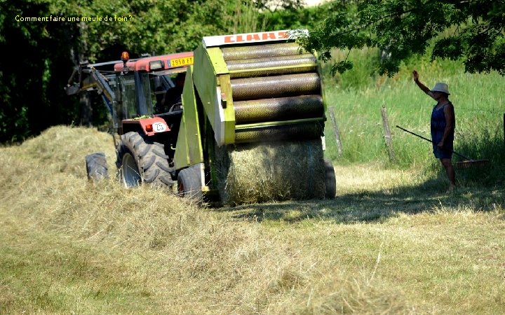 Comment faire une meule de foin ? 