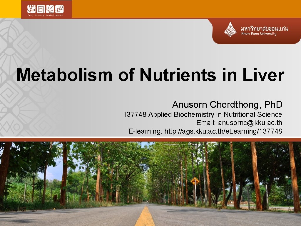 Metabolism of Nutrients in Liver Anusorn Cherdthong, Ph. D 137748 Applied Biochemistry in Nutritional