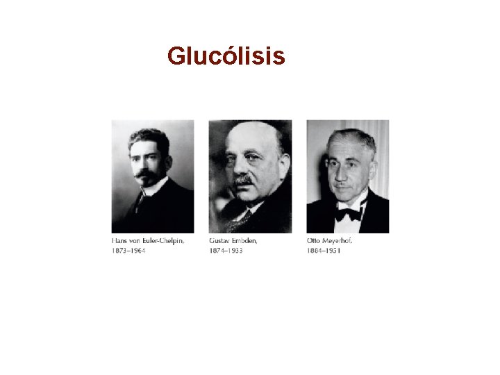 Glucólisis 