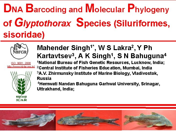 DNA Barcoding and Molecular Phylogeny of Glyptothorax Species (Siluriformes, sisoridae) Mahender Singh 1*, W