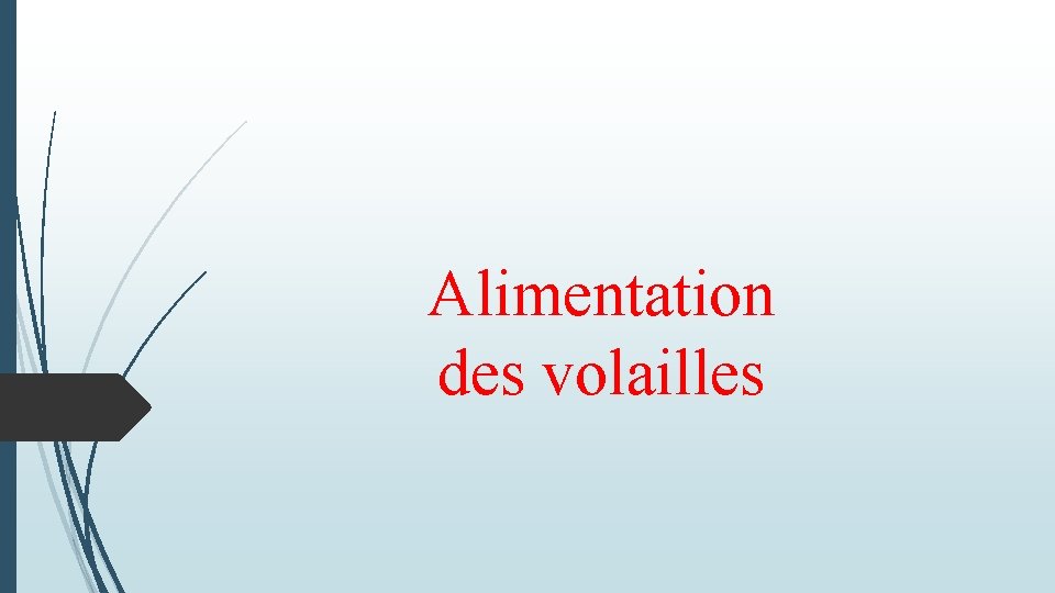 Alimentation des volailles 