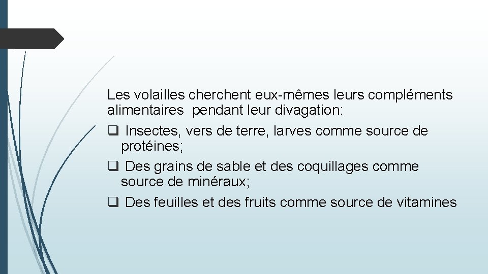 Les volailles cherchent eux-mêmes leurs compléments alimentaires pendant leur divagation: q Insectes, vers de