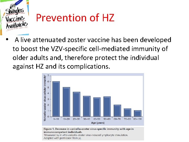 Prevention of HZ • A live attenuated zoster vaccine has been developed to boost