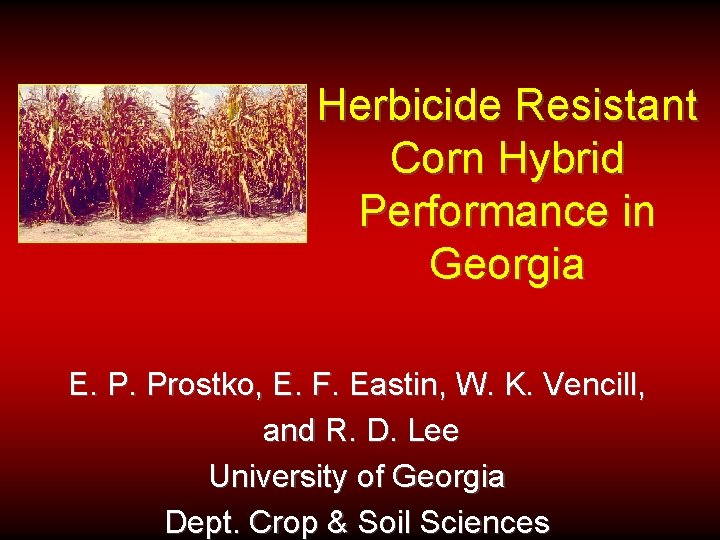 Herbicide Resistant Corn Hybrid Performance in Georgia E. P. Prostko, E. F. Eastin, W.