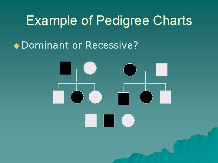 Example of Pedigree Charts u Dominant or Recessive? 