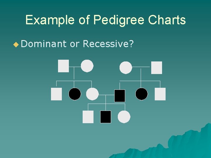 Example of Pedigree Charts u Dominant or Recessive? 